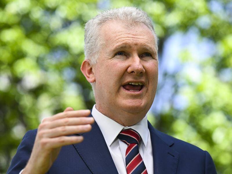 Workplace Relations Minister Tony Burke wants industrial reforms passed by the end of the year. (Lukas Coch/AAP PHOTOS)