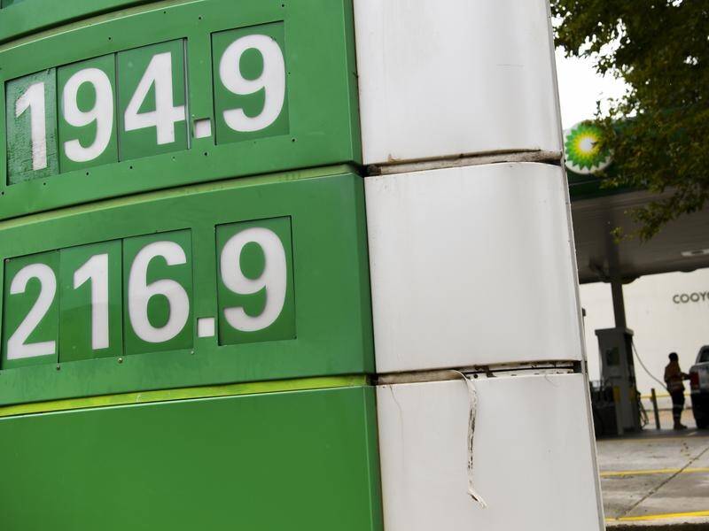 Two Nationals MPs alarmed at soaring petrol prices want the 44-cents per litre excise to be cut.