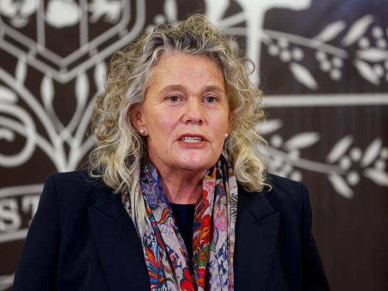 Fiona Simson says more needs to be done to increase farm production and stop food 'price shocks'. (Russell Freeman/AAP PHOTOS)