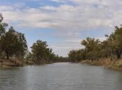 Dozens of amendments have been agreed to as part of the Murray-Darling Basin Plan overhaul. (Dean Lewins/AAP PHOTOS)