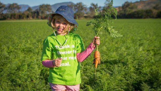 Australia is facing its largest carrot oversupply in 25 years. Photo: Kalfresh
