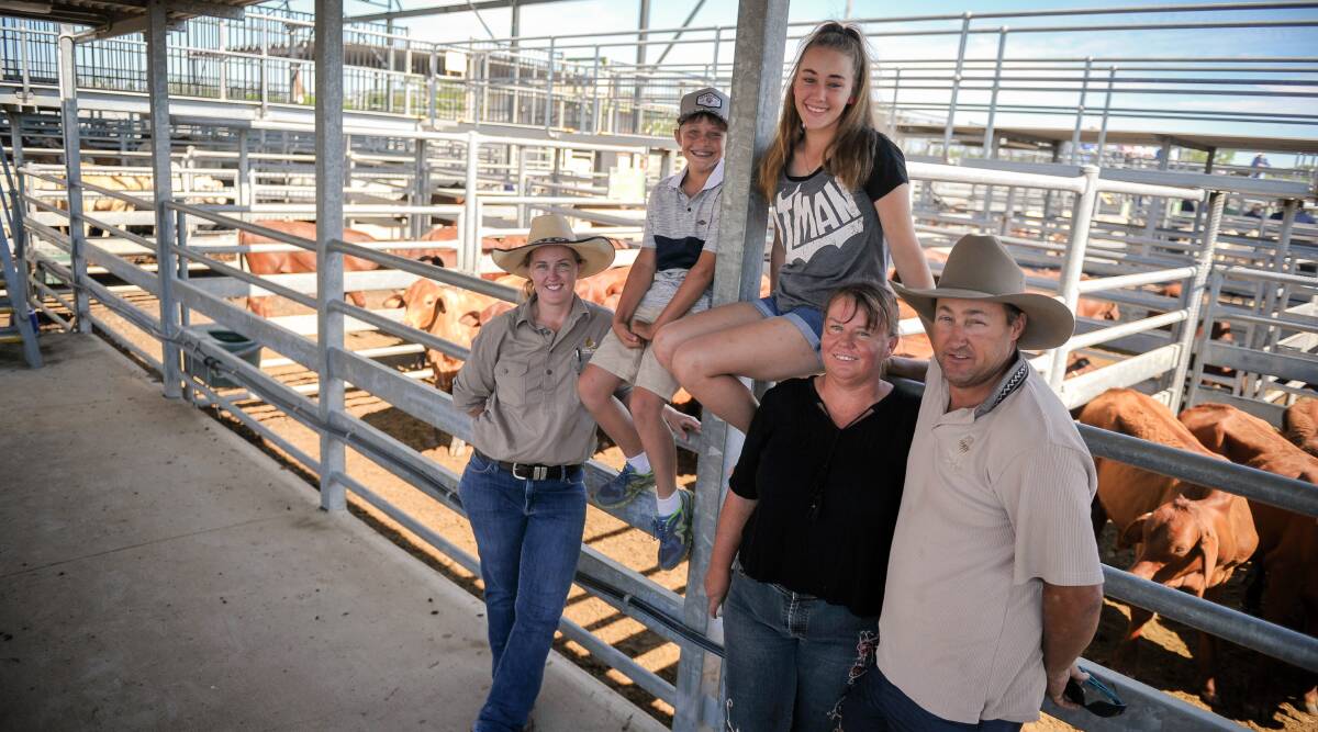 Mitchell, Lauren, Candy, and Robert Cross stand with Michael Maguire and Co's Cassie Lindgren (far left) with their steers before the sale today. 