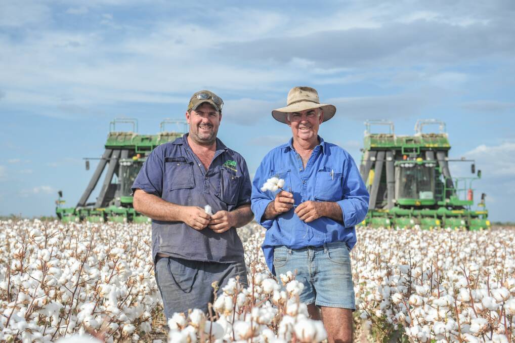 Sam Dawson and his father-in-law Denis Kiely, Deneliza Downs, Emerald, in one of the farm's stand-out cotton fields. Photo - Kelly Butterworth. 