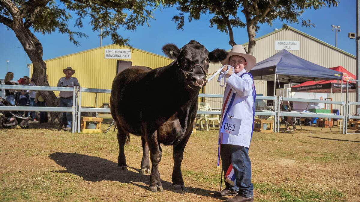 George Tucker with his winning steer, Percy. Photo - Kelly Butterworth. 