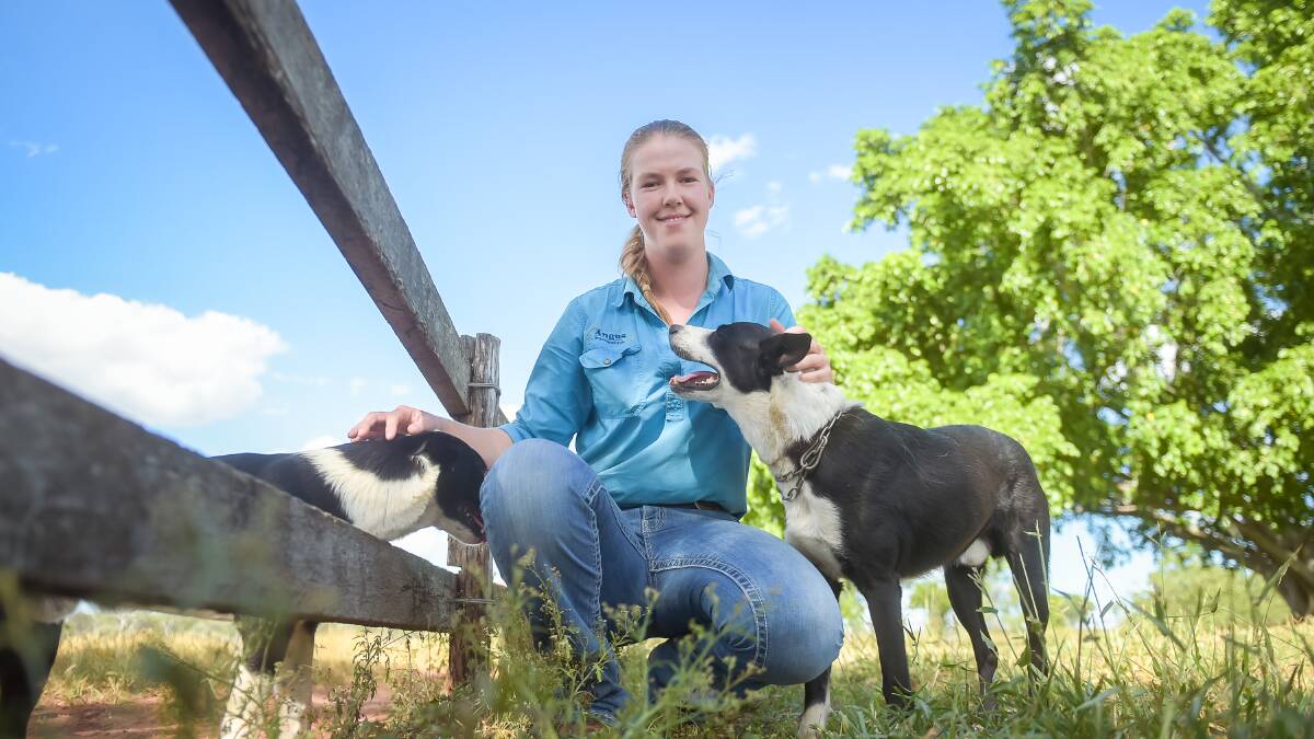 Madelaine at home at Kimberley Station taking some time out with her dogs before the hectic week at Beef 2018. 