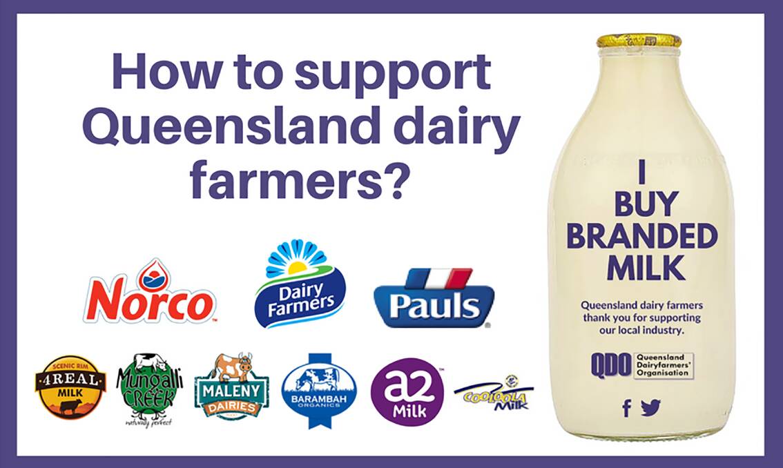 Confused about what milk to buy in order to support Queensland dairy farmers? QDO says steer clear of cheap milk and pay a little more for brands that returns to farmers. 