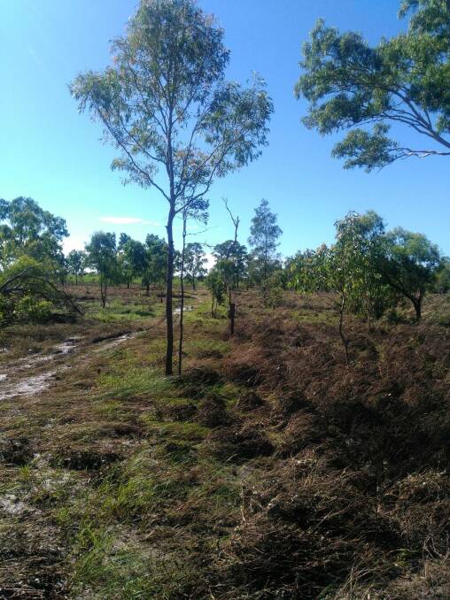 FLOOD DESTRUCTION: The current state of about 20km of fencing at the Belmont Research Station, Rockhampton. Contractors will be arriving this week to assist with the repairs.
