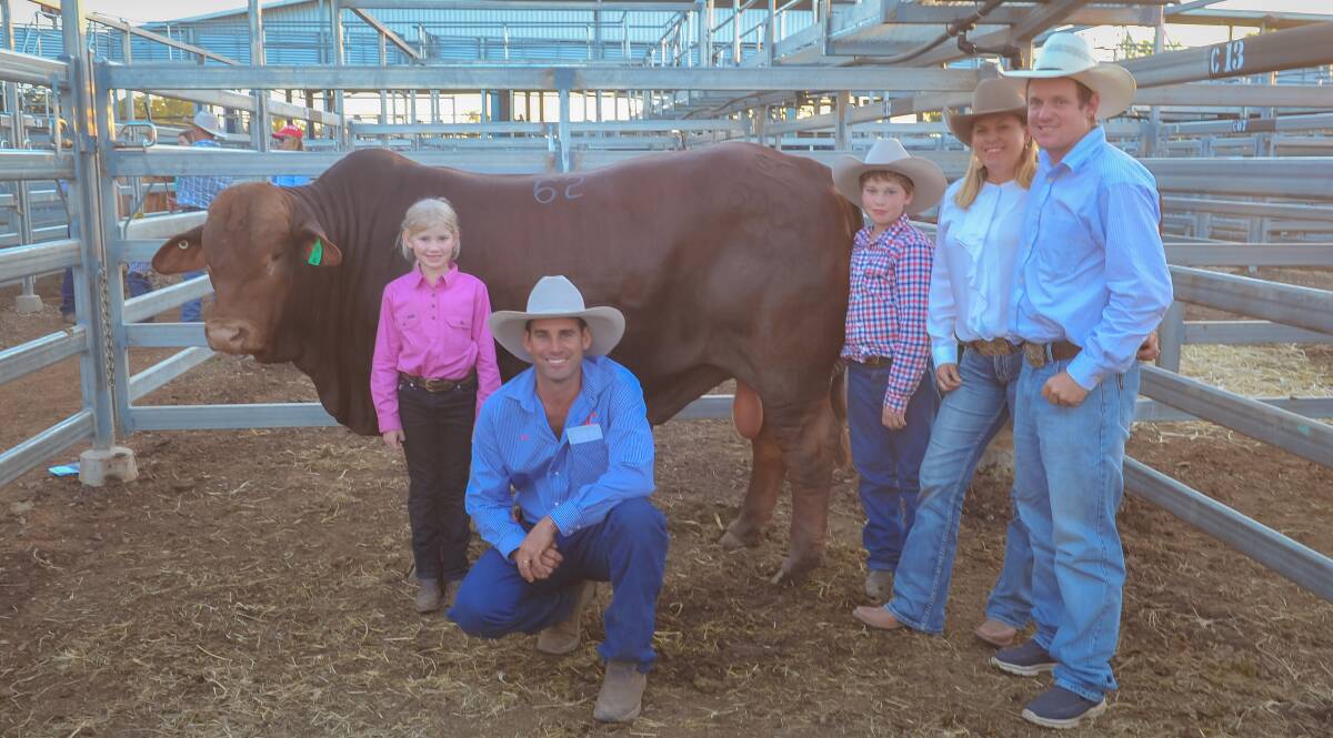 Lara, Steve and Hamish Farmer with their $60,000 bull, SC Leeroy, and purchasers Kylie Graham and Mat Durkin, Mungalla stud, Taroom, at last year's Droughtmaster National Bull Sale. Photo - Kelly Butterworth.