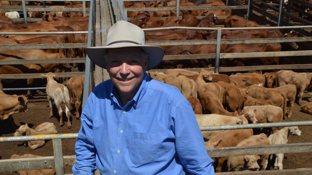 Top dollar: Alan Scott, Mayfield South, Roma, sold 134 cows and calves for a top of $2025 at today's Roma store sale.