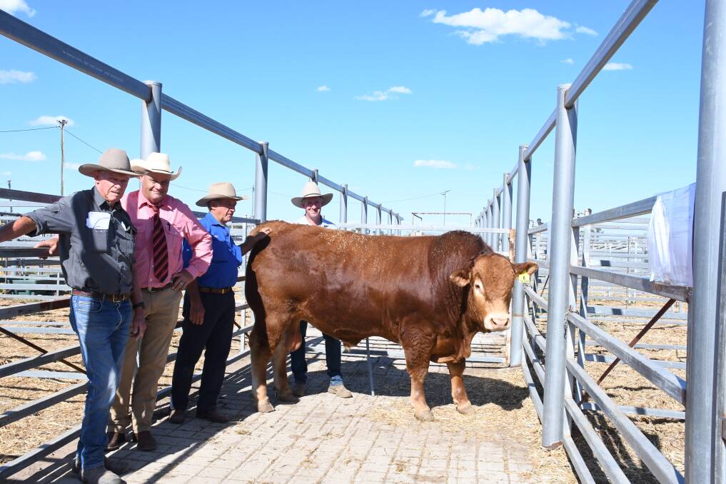 Lawrence Hack, buyer of the top priced bull Talana Poll Polo (P) (PU), with Randal Spann, Elders, and Gary and Anthony Graham, Talana Limousins.