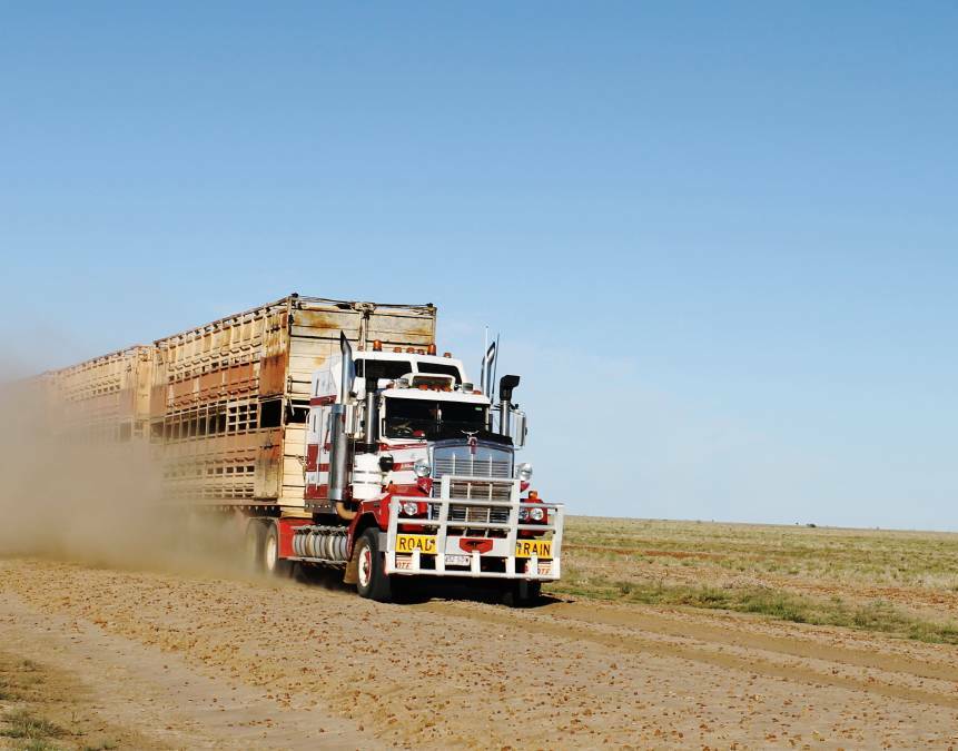Is your livestock fit to load