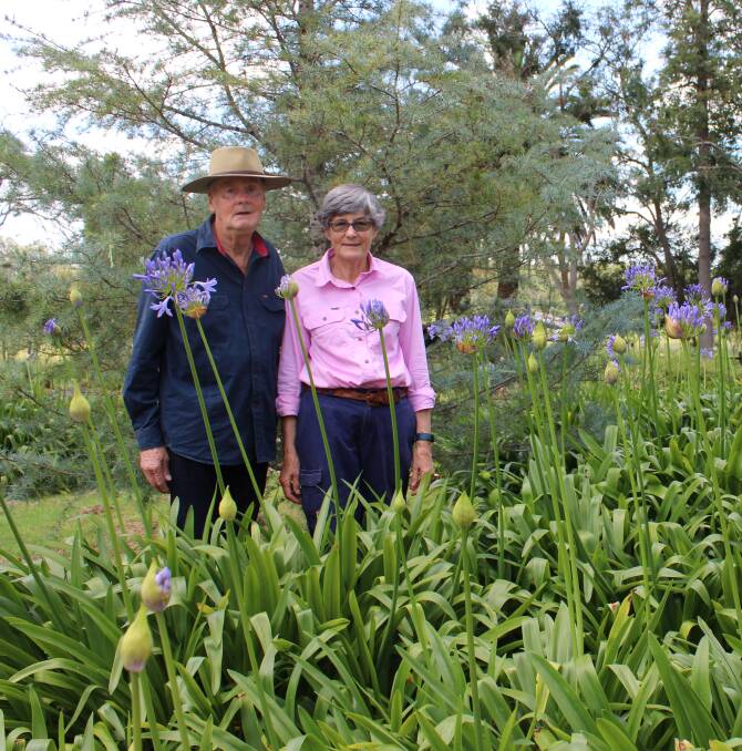 Colin Marshall and Libby Leu take time to enjoy Taabinga Homestead's massive garden, which is blooming with agapanthus.