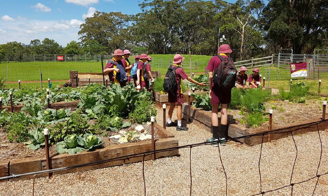 Toowoomba students worst hit by ag education cuts