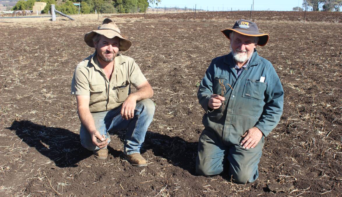 Bare Paddocks: Joshua and Melvin Mengel, Kia-Ora, Nobby, are looking down the barrel of another tough season while they wait for some much needed rain to plant their winter wheat and barley. Photo: Helen Walker