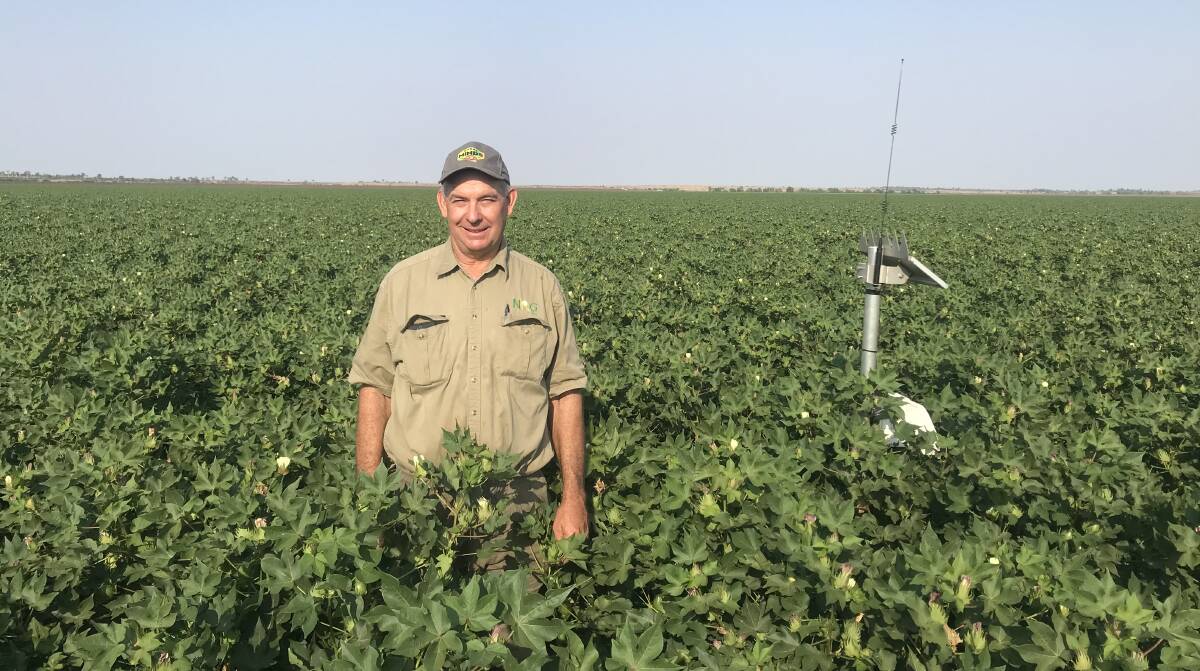  Neek Morawitz has taken advantage of his available water and planted 700 hectares of irrigated cotton over two farms.