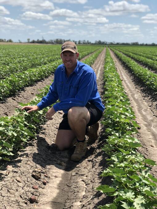 Central Highlands Cotton Growers’ Association president, Aaron Kiely, said trialing SataCrop was a great opportunity for the region as a whole to test and demonstrate the diversity of crops throughout their area. 