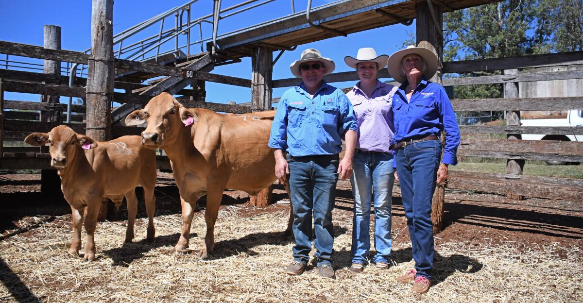 John and Shannon Williamson, Cebella and Yellowwood, with Margaret Wilson, Truvalle Droughtmasters, and the top-priced cow and calf unit.