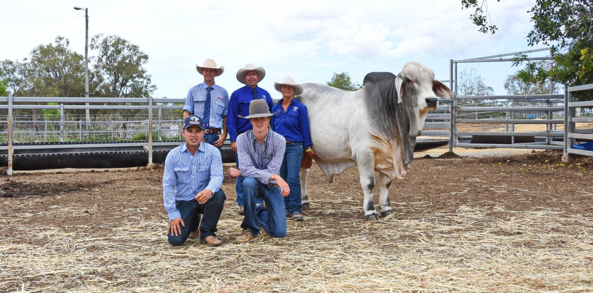 Selling agent Brad Passfield, Hourn and Bishop Qld, vendors Matthew and Janelle McCamley, Lancefield M stud, Dululu, and the $80,000 Lancefield M Fleetwood 6737/M (H), with (kneeling) buying agent Troy Williams, Williams Livestock and Rural, Charters Towers, and buyer Kellan Knuth, Glencoe Station, Charters Towers.