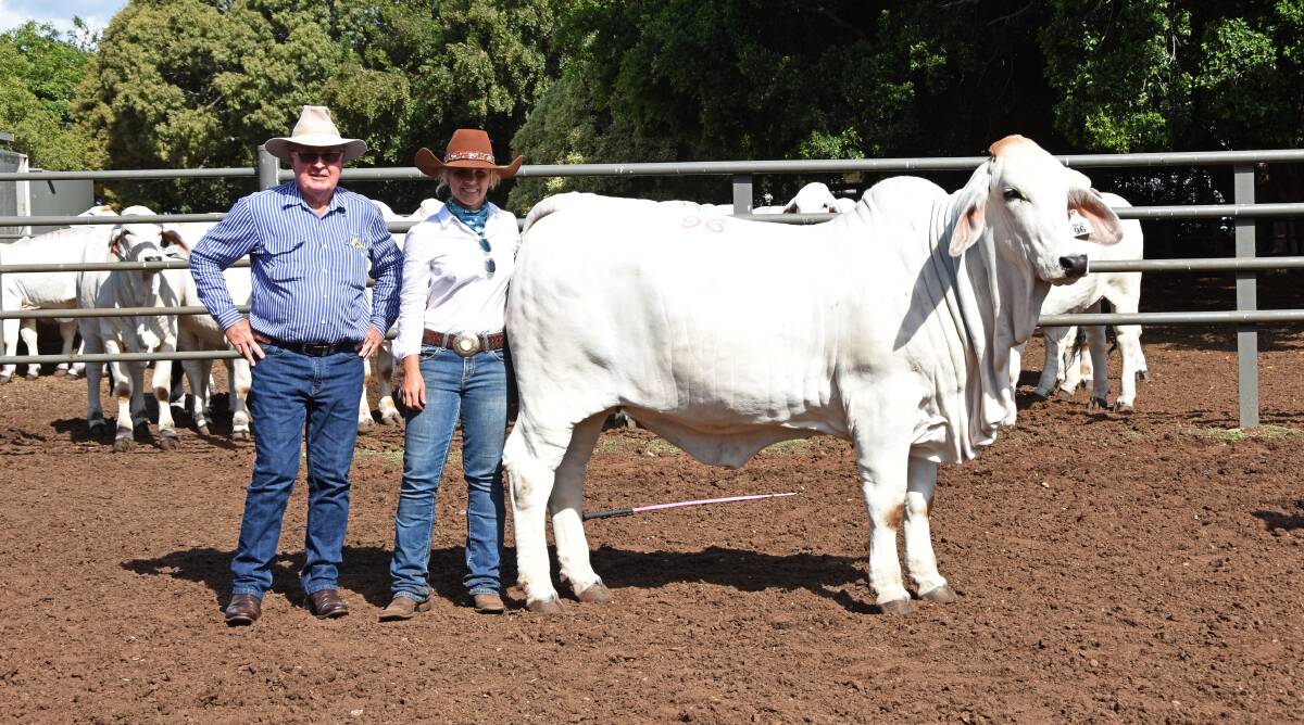 Buying agent Jim Geaney, Charters Towers, and Annalee Godwin, with NCC Lady Ella 4624 (IVF), purchased by the Prichard family, Ravenswood, for $40,000. 