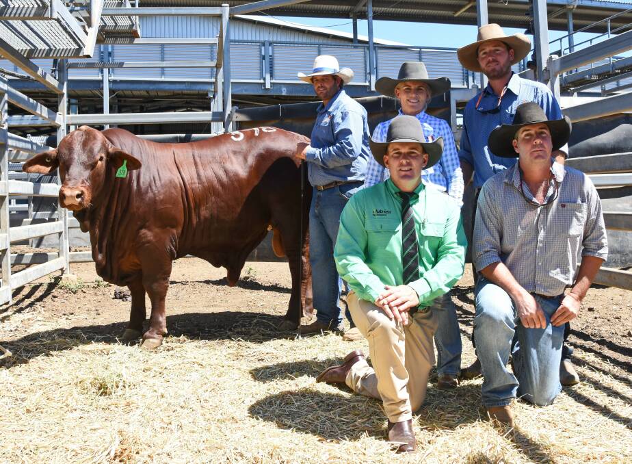 Rondel stud's Luke Carrington and Lakisha and Zach Muntelwit, (kneeling) Nutrien auctioneer Dane Pearce, and buyer Alex Power, Lazy A stud, Julia Creek, with Rondel All Star (P). Photos: Hayley Kennedy.