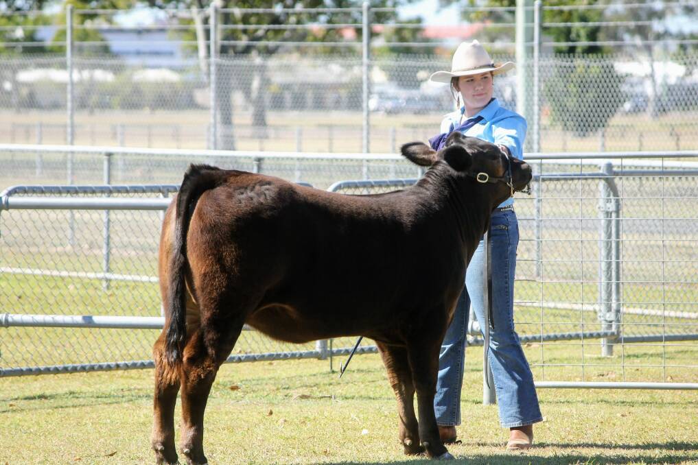 Wide Bay Interschool Hoof and Hook Competition junior champion handler was awarded to Avah Murdoch from Bundaberg Christian College.