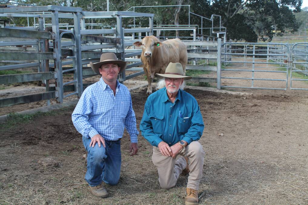 Anthony Curtis of Wellcamp Charbrays sold the $19,000 top-priced Charbray bull, Wellcamp Qasim (P) to Tony Grabbe, Nooralaba, Cunnamulla, at the Woolooga Charolais and Charbray bull sale.
