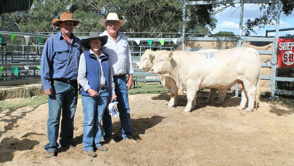 Tom and Helen Little, Mt Nicholson, Bauhinia, paid $27,500 top money for Barambah-Dale Quarry from Wayne Davis, Barambah-Dale Charolais, Dalby, at the Woolooga Charolais and Charbray bull sale on Friday.
