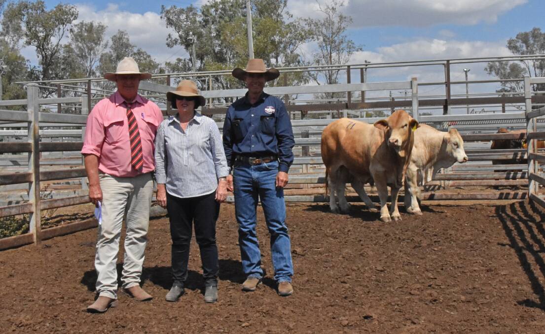 Elders auctioneer Brian Wedemeyer, Judy Nobbs, Cordelia Stud, Moura, and Paul Connor, Rosewood Cattle Co, Morinish, who took home Cordelia Lion Heart (P) for $11,000.