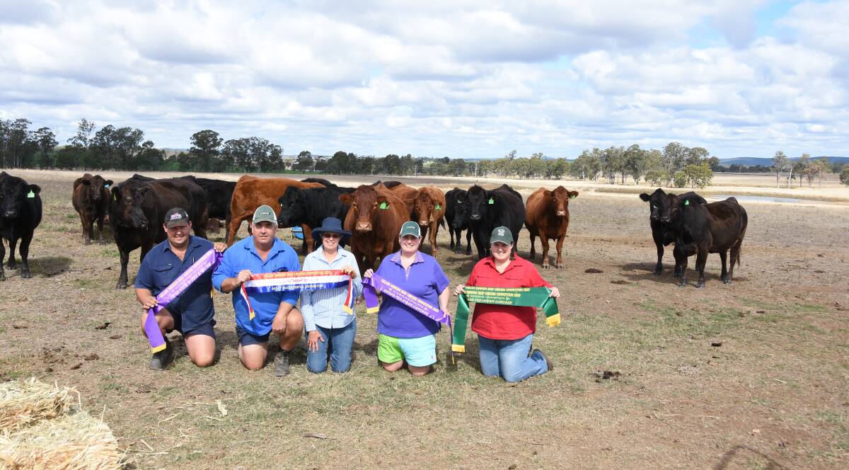 Ribbon haul: Craig, Michael, Kayleen, Lorraine and Andrea Taylor, MK Cattle, Murgon, have claimed a swag of ribbons to be the most successful exhibitor in the Callide Dawson Carcase Competition. 