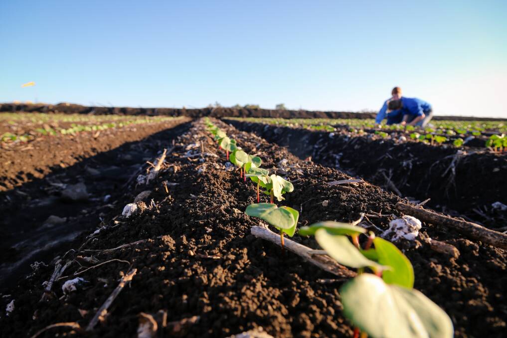 A group of 15 emerging leaders actively working in the Australian cotton industry will take part in the Australian Future Cotton Leaders Program this year.