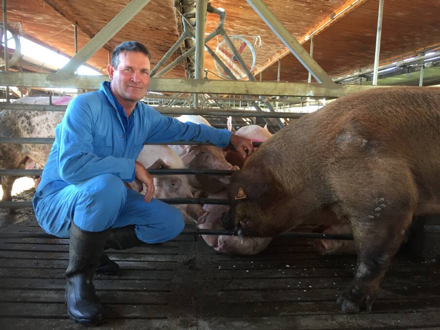 Glasshouse Country Farms owner Gary McGuire had to boost security after being repeatedly targeted by animal rights activists, but says he's wary of further invasions.