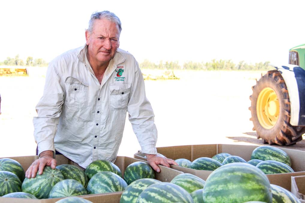 Chinchilla watermelon grower Darryl O'Leary. 