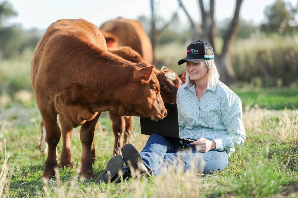 Kirra Kelly said the new-look website had already gained the interest of leading studs and livestock agents. 
