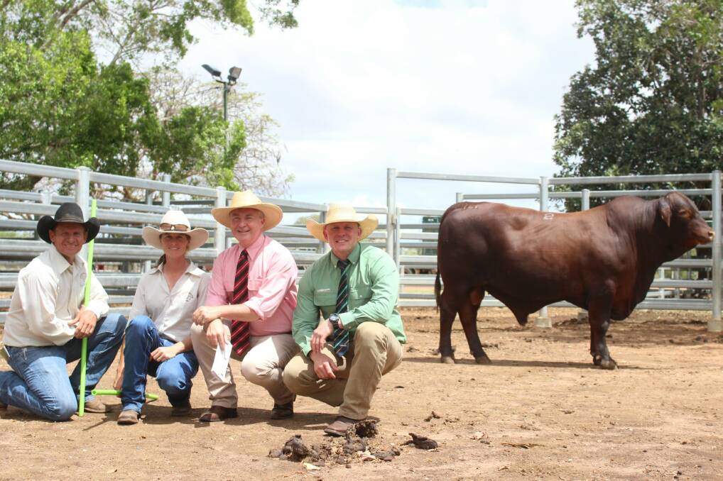 Drensmaine stud representatives Matt Sargood and Katie Cann, with Elders selling agent Andrew Meara and buyer representative, Colby Ede, Landmark, and the top price bull. 