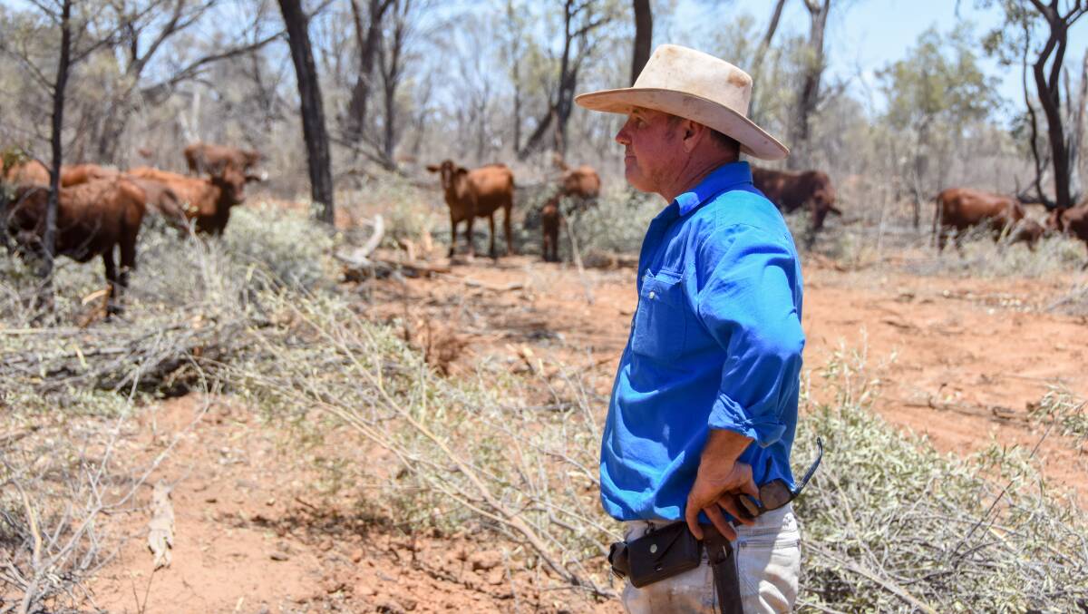 Mr Sargood believes mulga should be managed separately from vegetation management laws. 