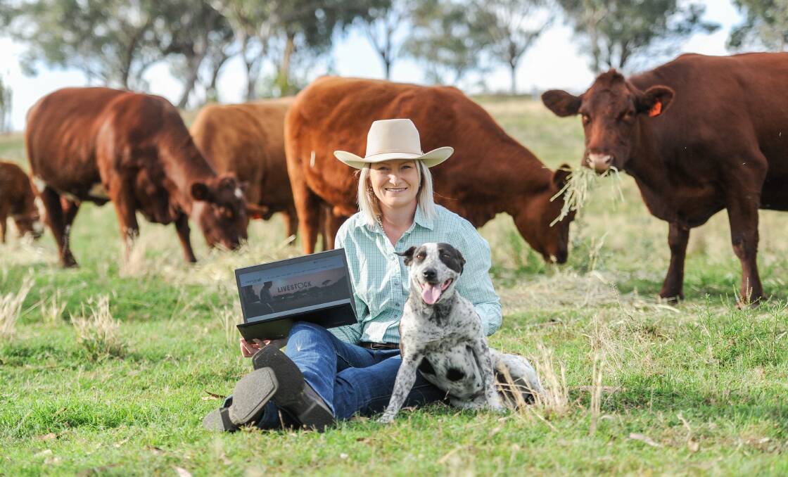 The new features of the Livestock Connect website now cater specifically for livestock buyers and sellers.