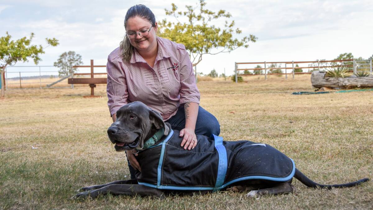 Sarah with her male Great Dane, Blue. 