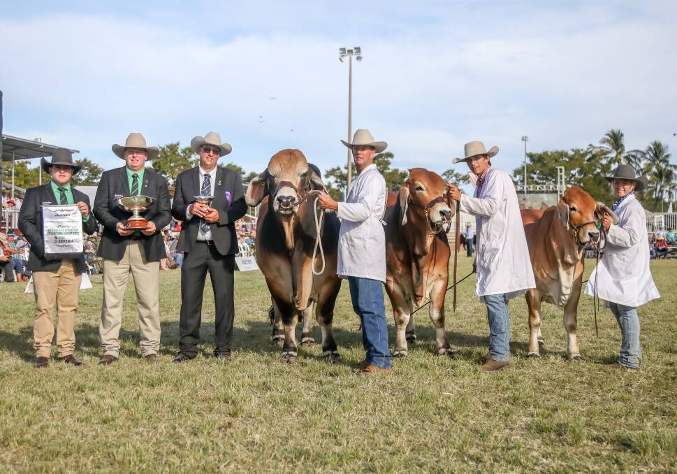 Dane Pearce and Mark Scholes, Nutrien Livestock, judge Roger Evans, NCC principal Brett Nobbs and paraders Lachlan Collins and Annalee Godwin with the interbreed champion group NCC Novak, NCC Navajo and NCC Nova. Photos: Lucy Kinbacher