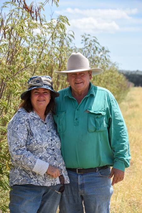 While the crop currently looks dried off, Gigi and Scott are still happy with its response to their climate. 