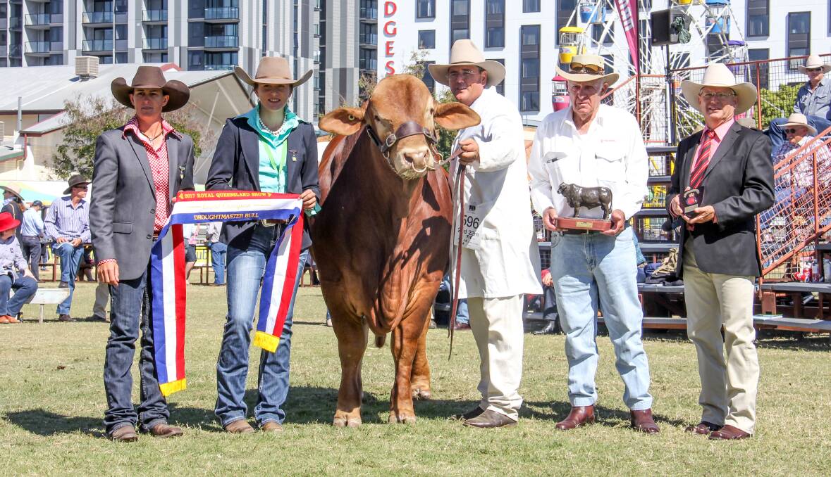 Grand champion Droughtmaster bull, Glenlands J Velocity, held by Jason Childs and with judges Renee Rutherford and Remy Streeter, Bob Baker and Robert Murray, Elders.
