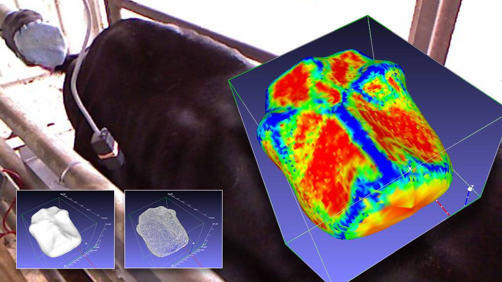 An example of the 3-D imaging technology currently under trial. Work to introduce this to industry will begin soon.