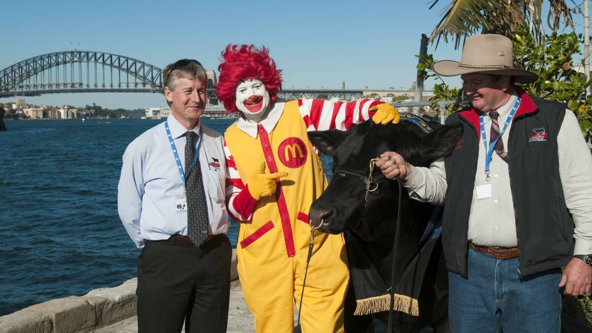The launch of the McDonalds Angus burger range at MAC Pacific offices, East Balmain in August 2009.