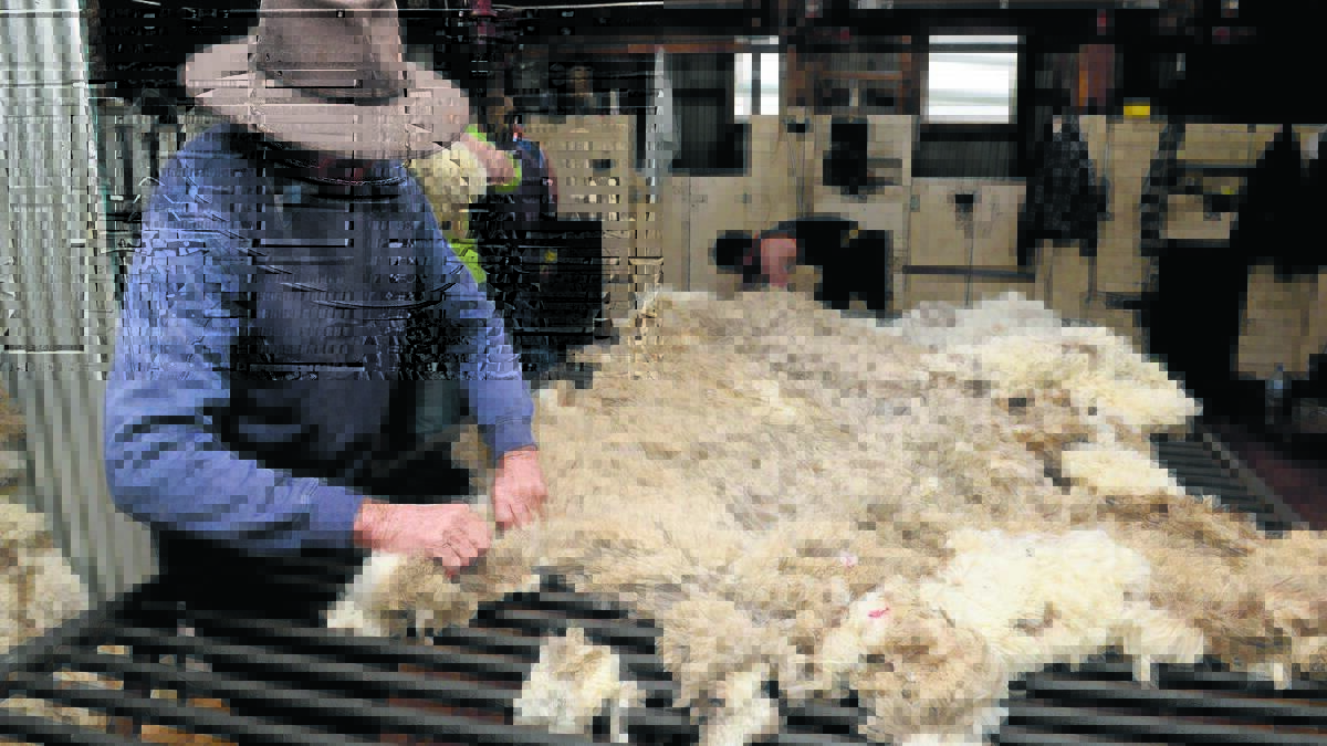 Wool starts year on a high