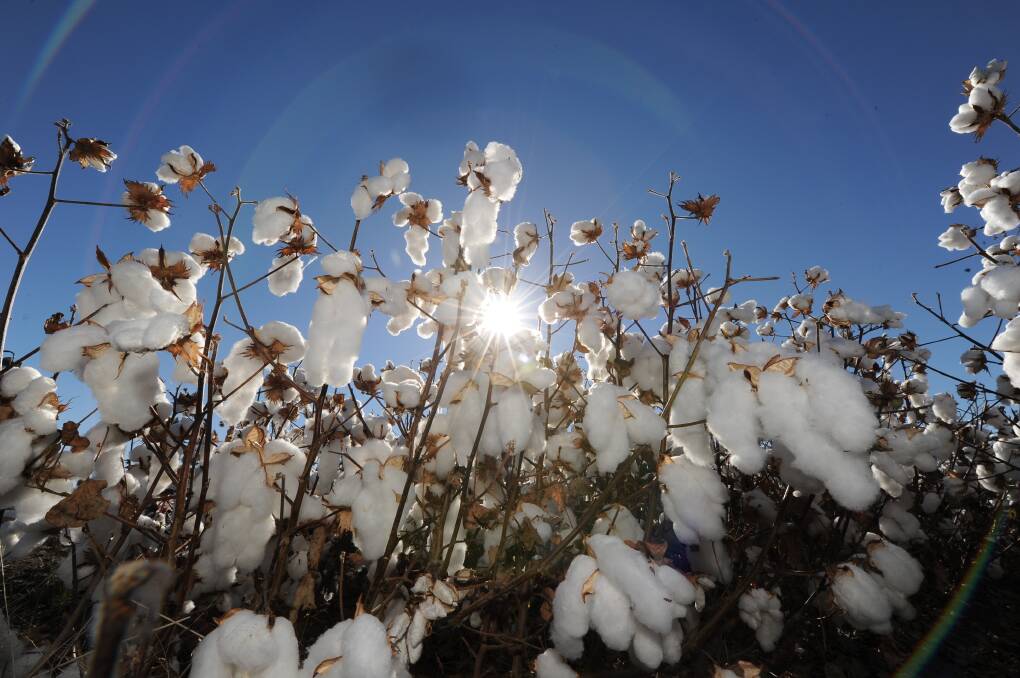 World cotton demand has been stagnant, even reducing, over the past season.