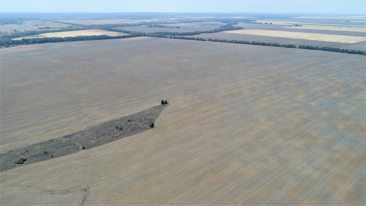 Western Downs property Encliffe covers 425 hectares.