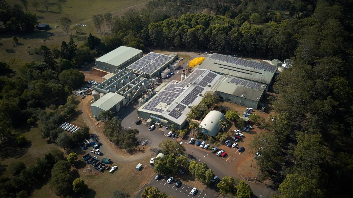 Marquis Macadamias' processing facility at Lismore, NSW.
