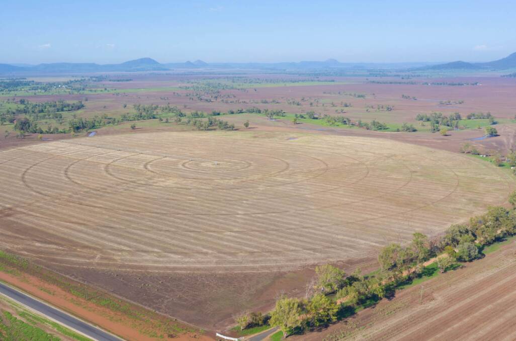 Liverpool Plains property Tourable boasts 620ha of cultivation country with deep, self-mulching soils. Picture supplied