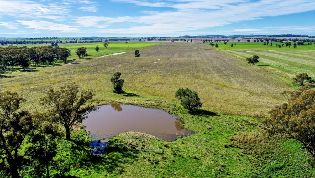 Cramond East will be offered as two blocks when it is auctioned by Raine & Horne Rural on September 28.