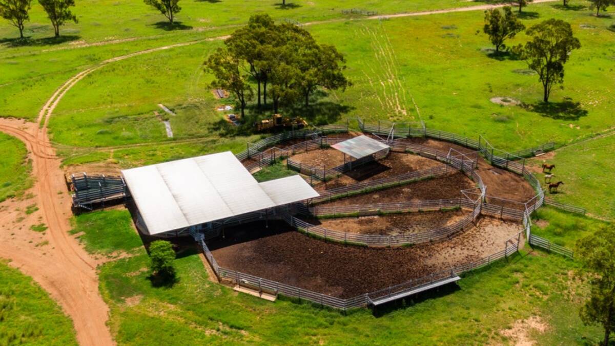 The 10 year old steel cattle yards are equipped with an air-operated race and crush, five way draft, calf race and cradle, and a double-decker loading ramp. Picture supplied