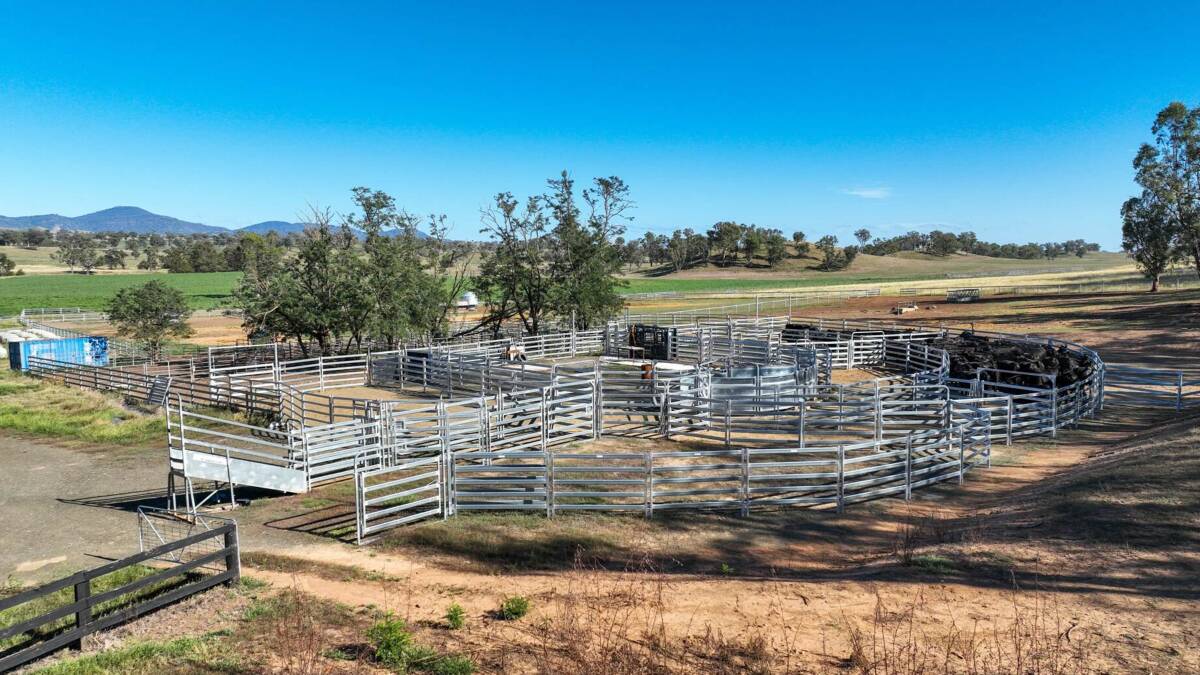 Quality cattle property for up to 500 cows and calves | Video